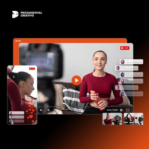 streaming en vivo con VDO Panel - transmisión 24-7